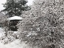 Odśnieżanie - prosta czynność, ale należy pamiętać o kilku zasadach
